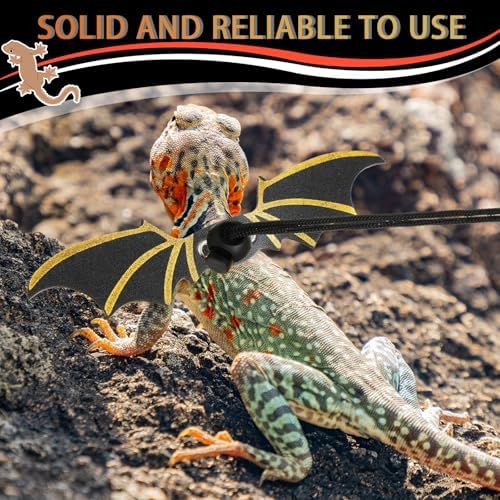 Bearded dragon walking accessory set in packaging