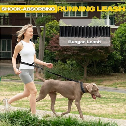Fida reflective waist dog leash configured as a hands-free jogging belt