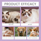Waterless cat shampoo foam bottle with ingredients label