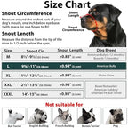 Adjustable head strap mechanism of Mayerzon dog mouth guard