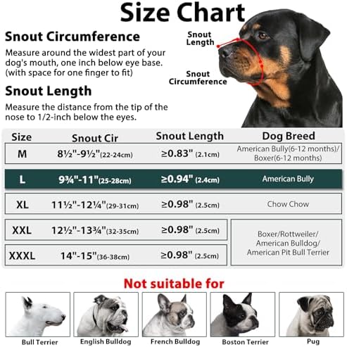 Adjustable head strap mechanism of Mayerzon dog mouth guard