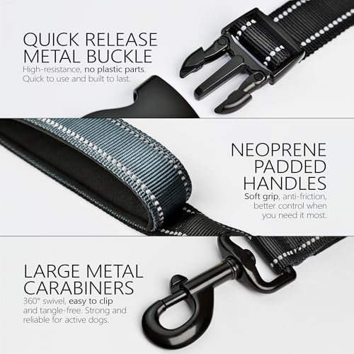 DearWells dual handle bungee dog leash showing the reflective stitching for night safety.
