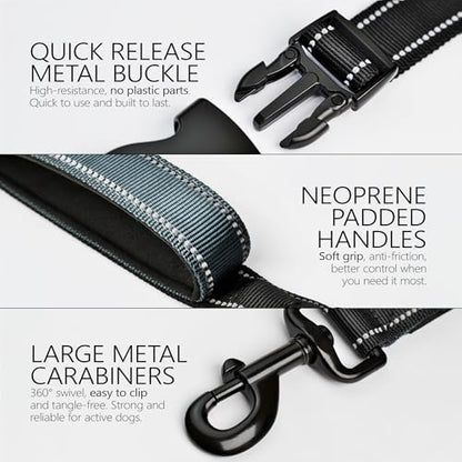 DearWells dual handle bungee dog leash showing the reflective stitching for night safety.