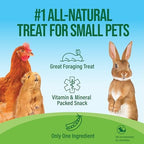 Small Pet Select pea flakes texture close up