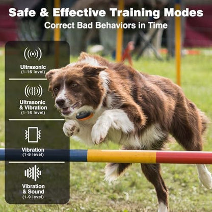 PaiPaitek painless dog training device demonstrating the security lock button on the transmitter.