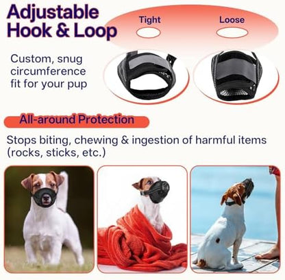SeranPup XL muzzle size chart and fitting demonstration