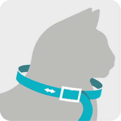 Lifestyle shot of Sergeant's Guardian flea collar for cats