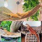 Reptile tank setup with hammocks and jungle accessories