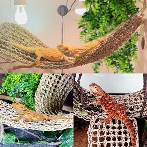 Reptile tank setup with hammocks and jungle accessories