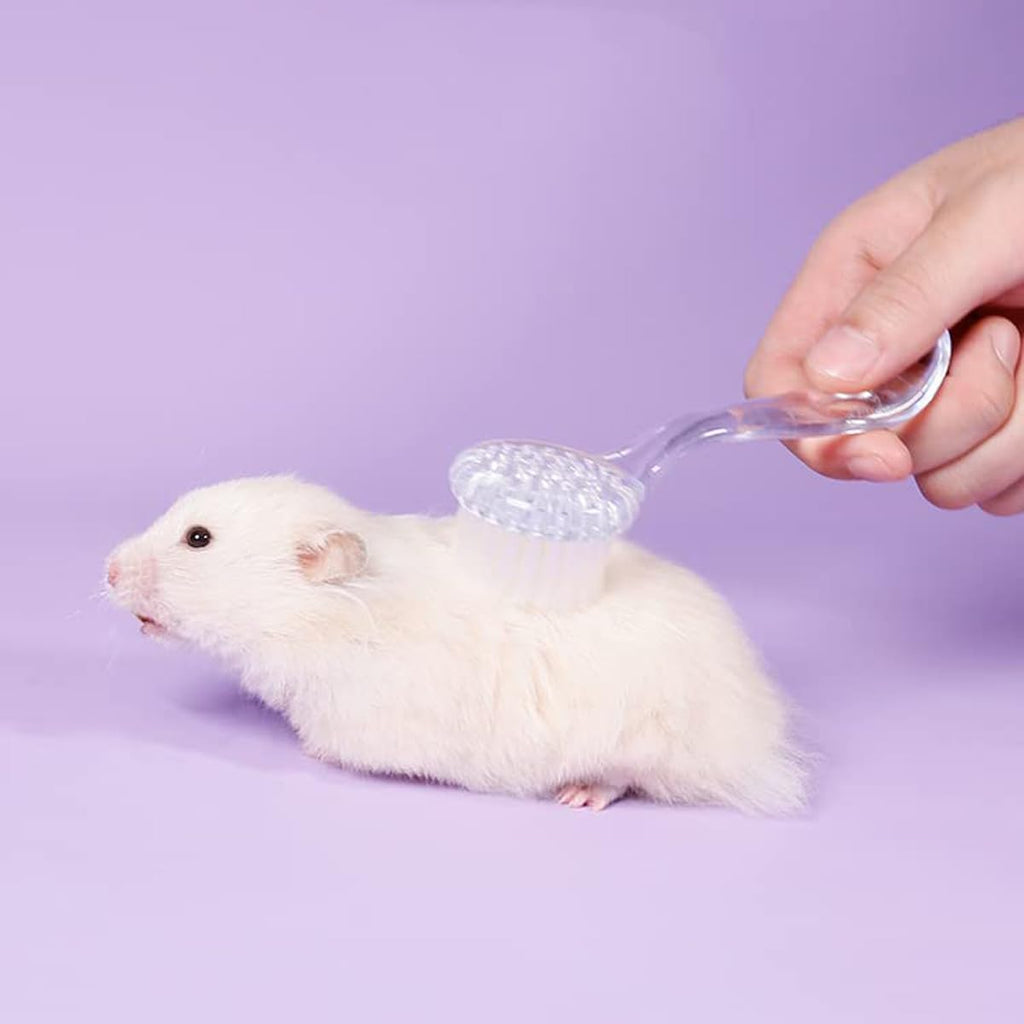Livaprul chinchilla and ferret grooming kit packaging view highlighting the premium imported pet accessory.