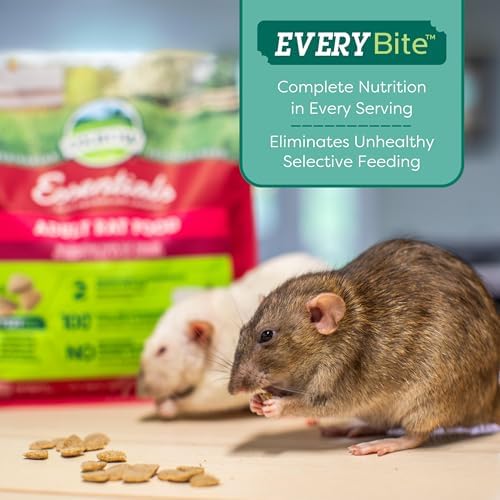 Oxbow essentials natural rat food product display