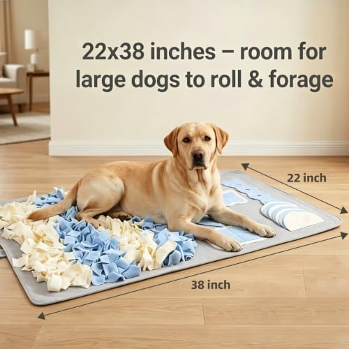 Large size dog activity play mat dimensions