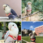 Microfiber ultra light parrot training harness for cockatiels and conures.