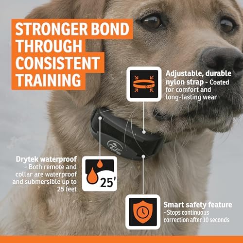 Side profile of SportDOG 825X receiver showing contact points