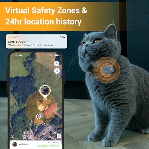 Pawfit premium feline activity monitor attached to quick release safety collar