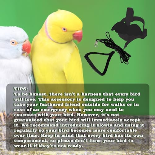 MinrzPet anti bite training bird leash showcasing the lightweight and breathable material textures.