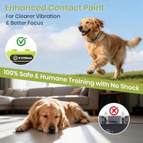 DOGLinsen remote control with green accent buttons and keypad security lock display.