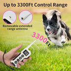 DOGLinsen training collar waterproof receiver detail