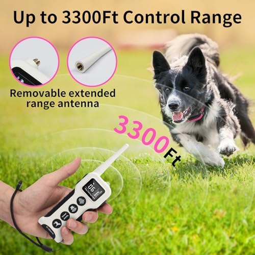 DOGLinsen training collar waterproof receiver detail