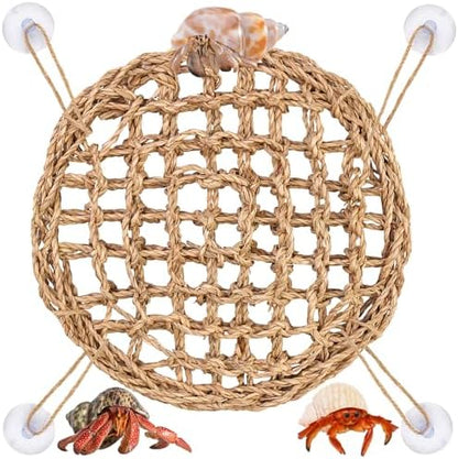 Natural handwoven seagrass reptile hammock installed horizontally with suction cups
