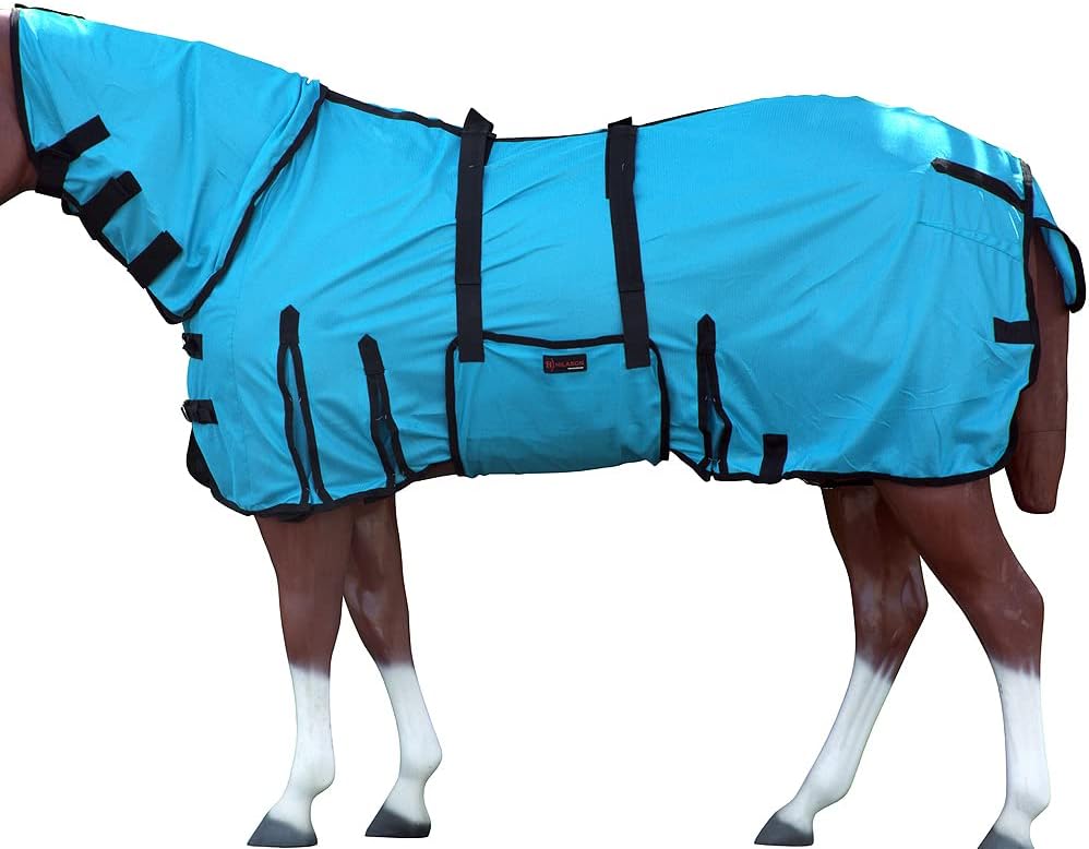 Hilason Horse Fly Sheet front view on a horse in an outdoor field paddock