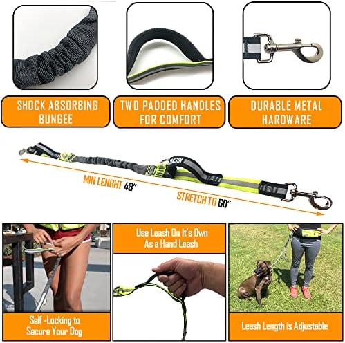 Taksin hands free dog leash system on active user