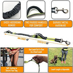 Taksin hands free dog leash system on active user