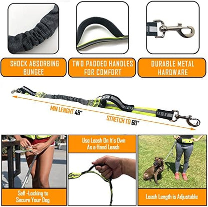 Taksin hands free dog leash system on active user