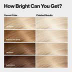 Revlon Color Effects kit components and accessories