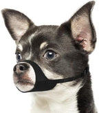Mayerzon dog muzzle showing adjustable strap mechanism