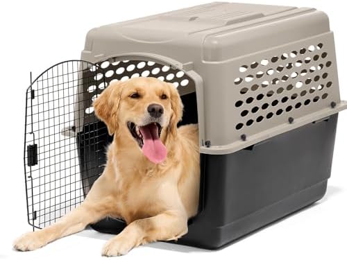 Petmate portable pet travel carrier back view demonstrating solid impact resistant construction.