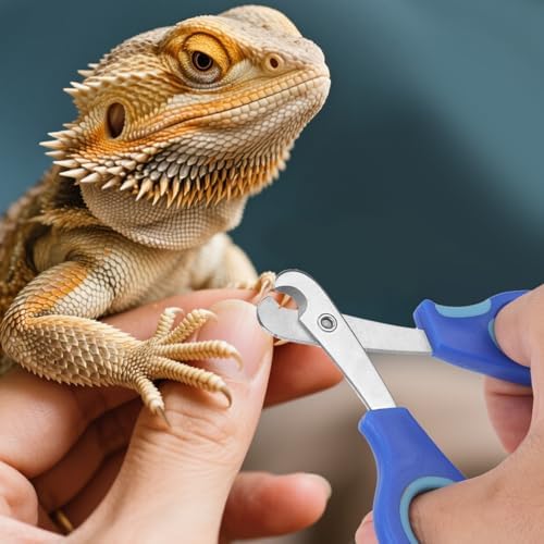 Professional reptile grooming scissors for safe bearded dragon claw maintenance