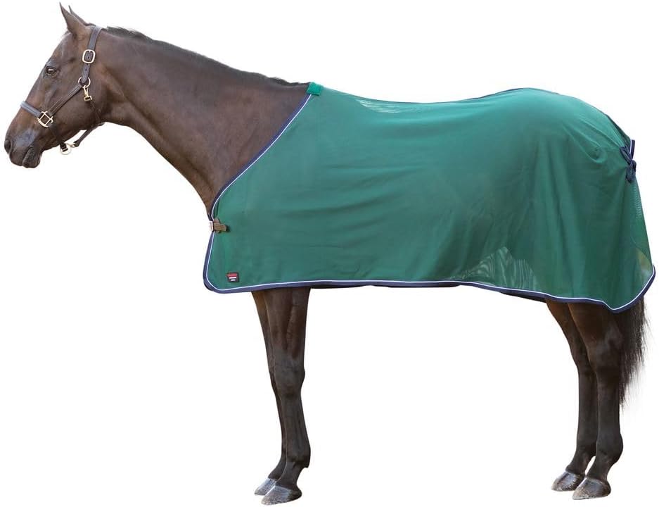 Schneiders show ready horse scrim blanket laid flat illustrating the medium size dimensions.