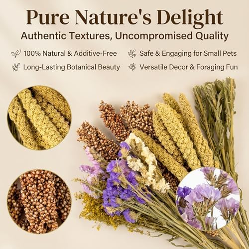 Sukh Natural Hamster Bedding Sprays - Foraging Habitat Decor Cage Accessories, Hideout Enrichment for Dwarf & Syrian Hamsters, Gerbils, Mice and Other Small Animals - Image 7