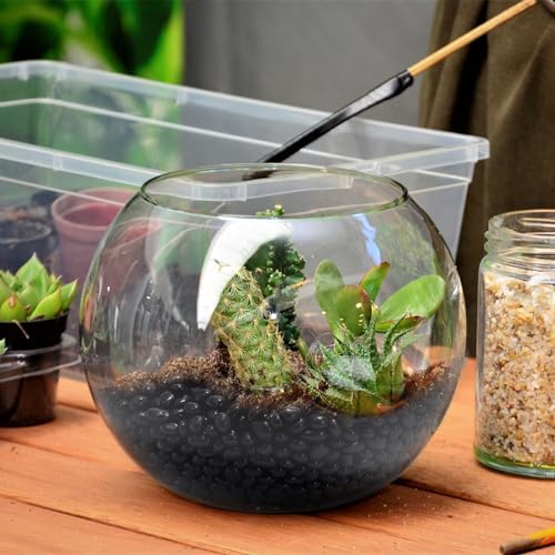 Small black gravel rocks arranged for terrarium decor