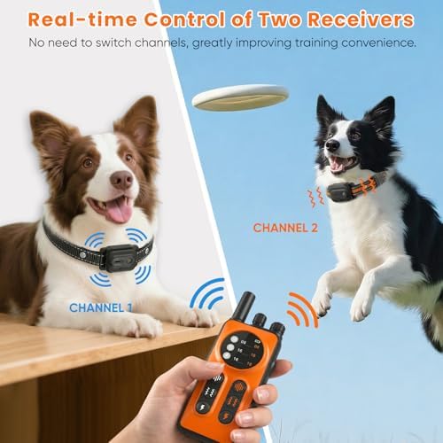 Waterproof electronic training receiver with safe contact prongs for dogs
