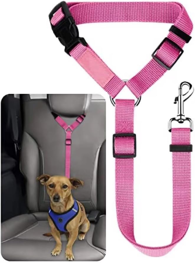 Brikipth chew resistant pet leash for small and medium dogs