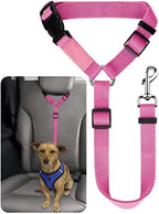 Brikipth chew resistant pet leash for small and medium dogs