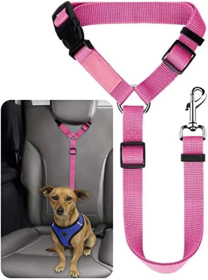 Brikipth chew resistant pet leash for small and medium dogs