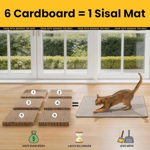 Domestic indoor cat grinding claws on the grey Conlun mat