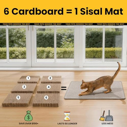 Domestic indoor cat grinding claws on the grey Conlun mat