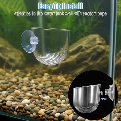 Eldraqth aquarium plant holder being installed easily onto the interior glass of a freshwater tank