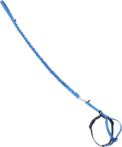 PetSafe Come with Me Kitty Harness and Bungee Leash Adjustable, Lightweight Harness for Cats Medium, Lilac - Image 11