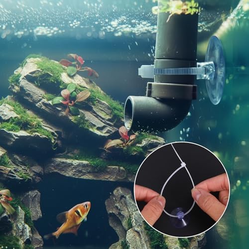 High quality flexible polyvinyl chloride suction cups close up view.