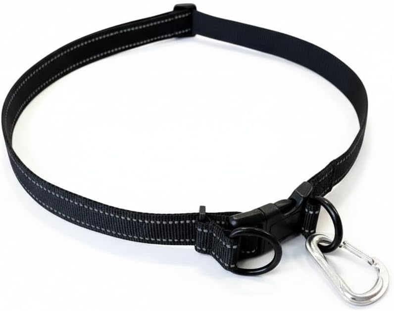 Person using Shed Defender hands free belt while walking dog