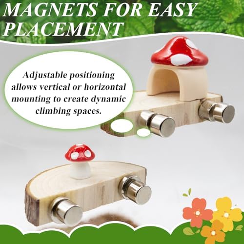 Jumping Spider Habitat Accessories Enclosure Habitat Accessories Jumping Spider Web Climbing and Feeding Platforms with Magnets for Small Insects Critters - Image 7