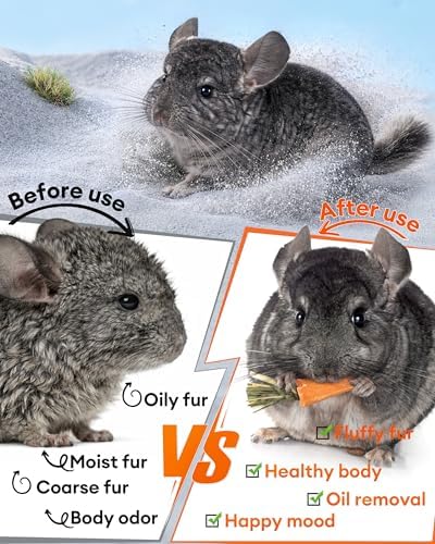 Premium imported small pet grooming powder back view with directions