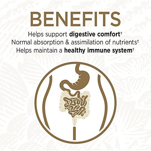 Shelf-stable probiotic capsules digestive balance aid