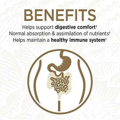 Shelf-stable probiotic capsules digestive balance aid