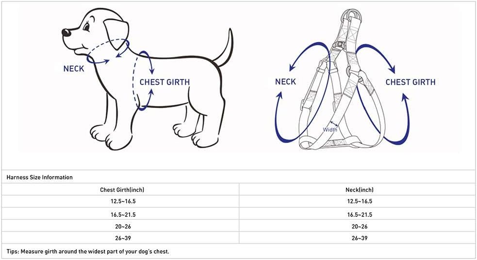 Close up of Blueberry Pet durable nylon dog harness buckle and D-ring